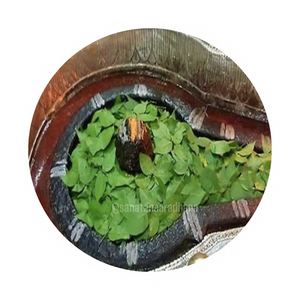 श्री भीमशंकर ज्योतिर्लिंग