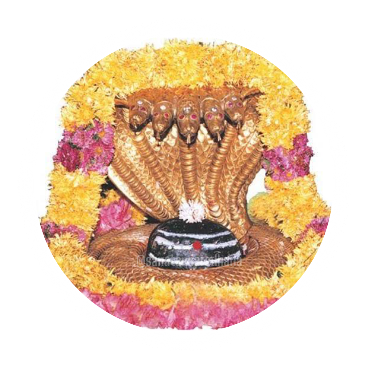 श्री मल्लिकार्जुन ज्योतिर्लिंग