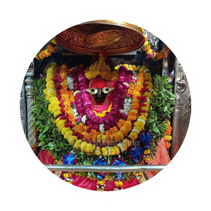 श्री विन्ध्येश्वरी देवी आरती